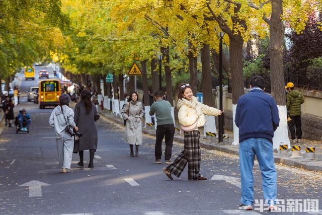 青岛深秋处处“鎏金”，美不胜收！