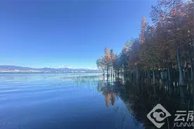 高标准保护高质量发展 守护洱海一泓清水图片