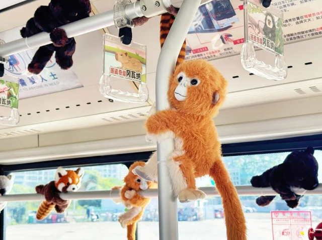 突破18亿！“真实版”就在南京