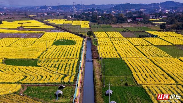 【赴春之约】株洲人不必远行！渌口洪塘，送你一个顶配版春天