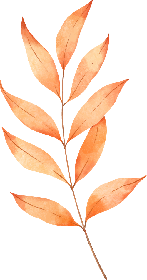 影像视觉 | 明光秋日长：嘉山秀水，自在明光