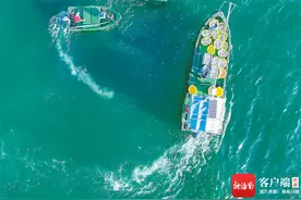 海南周刊 | 中国疍家：本是浮生江海客图片