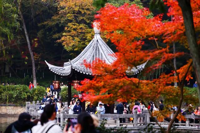 秋日美学暴击！正是赤橙黄绿时~