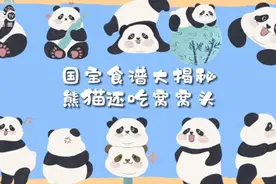 国宝食谱大揭秘 熊猫还吃窝窝头图片