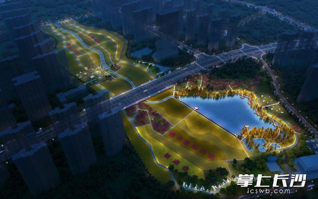 即将施工！长沙这里将新增一个城市稻田公园