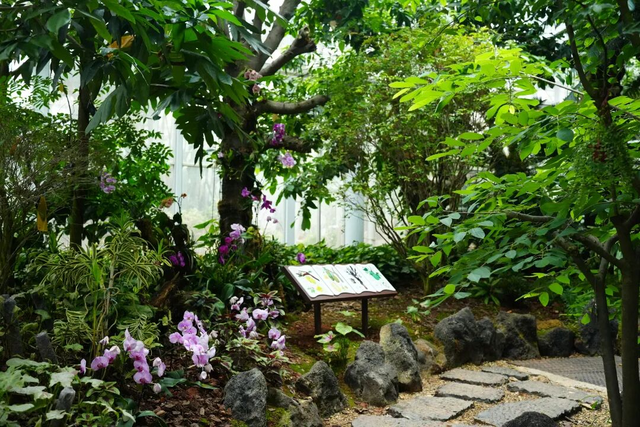 仲秋必来之地，在雨花这里……