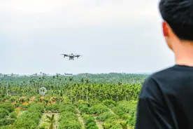 嗨，海口 | 江东新区首个复合型商业综合体对外开放招商图片