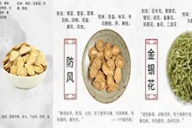 送您三个预防流感的“中医锦囊”图片
