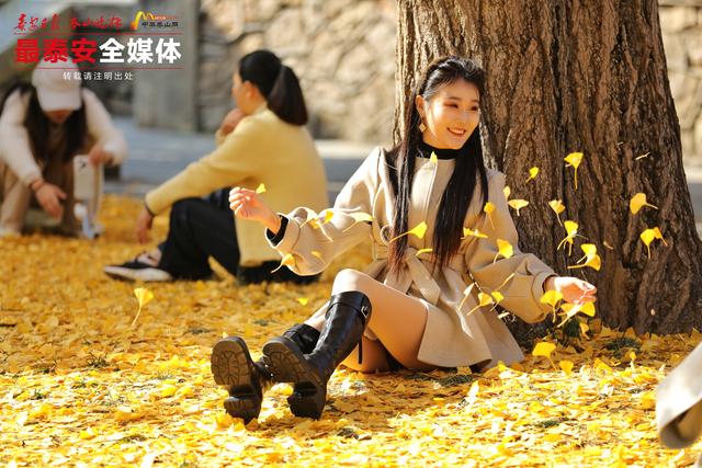 千年岱庙 一庭秋色