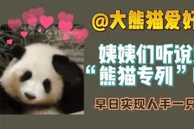 @大熊猫爱好者，“熊猫专列”姨姨们听说过嘛？图片