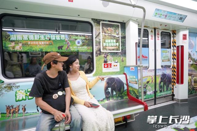 快看！长沙地铁变身“动物王国”