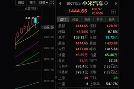 小米汽车概念板块开盘大涨2.05％！多只个股20CM涨停图片