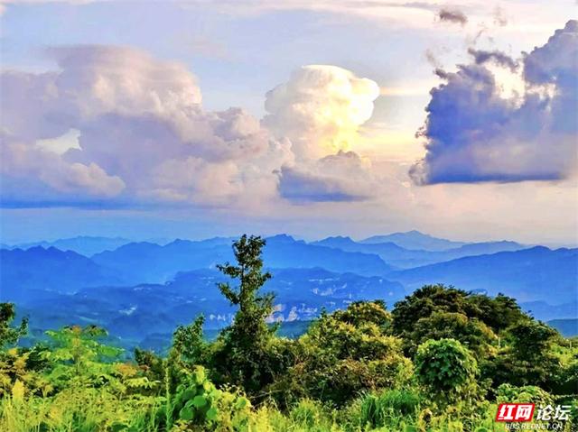 欢庆时刻丨闯入山水画卷，桑植梯田的四季之美