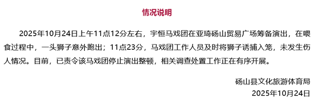 网友拍到狮子在绿化带中狂奔，多人在追捕！当地通报