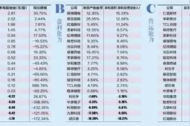 20家企业净资产1359亿 TCL科技营收超1700亿图片
