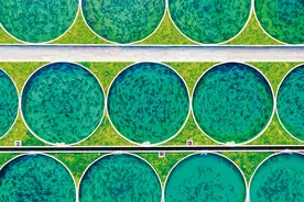 解码“中国新特产”丨新华深读图片