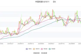 中国核建：2024年上半年净利润9.55亿元 同比增长6.88%图片