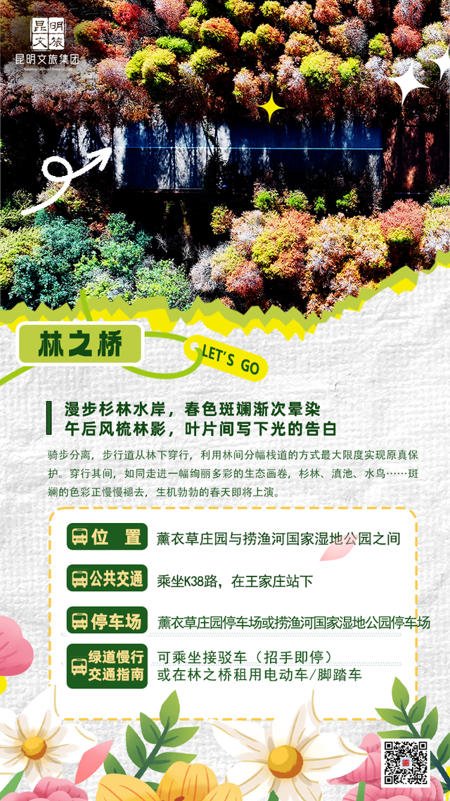 爆爆爆！滇池绿道成为这个暑期最火骑行IP