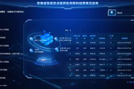 全国率先！安徽全省统一上线医保基金 “次日到账”图片