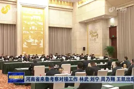 河南省来鲁考察对接工作 林武刘宁周乃翔王凯王宇燕出席图片