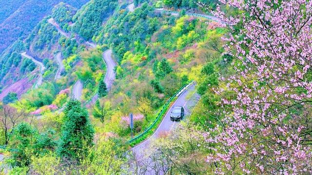 【交旅融合看皖南】一路“泾”彩，织就诗与远方