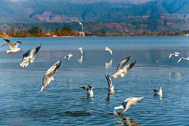 【冬季暖阳 凉山不凉】为什么冬天一定要去凉山？