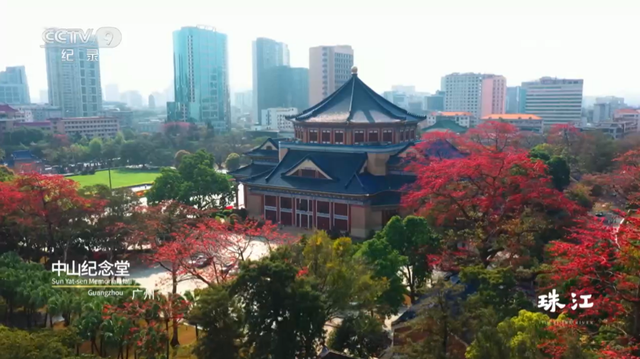 央视热播！就在身边，不少越秀街坊天天见