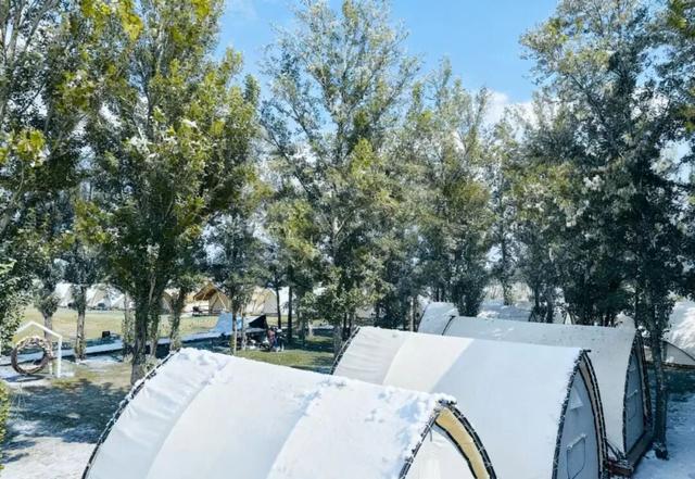 呼和浩特摩登上海！2025呼和浩特冰雪季全国文旅推介会正式开启