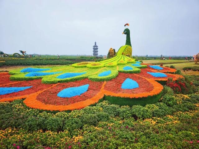 桃花岛在哪？水浒寨啥来头？深藏兴化这里……