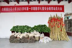 有点“食在”！这些小学生的期末奖品，两三米高！图片