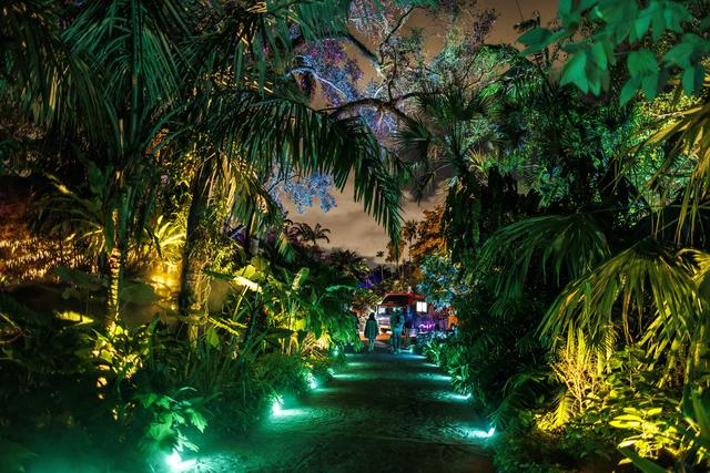 （外代二线）“夜间公园”灯光秀