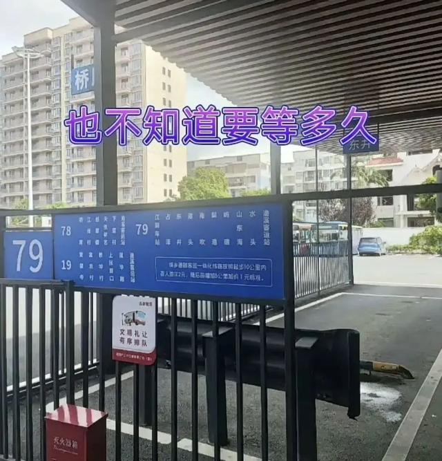 杭州20岁学霸小伙，独自坐公交去三亚！“体验奇妙又有趣”