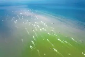 百舸争流——无惧风浪，终有所获图片