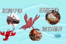 即将大量上市！提醒：这些部位最好不要吃→图片