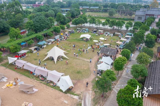 收藏！元旦南海西樵文旅“节目单”来了