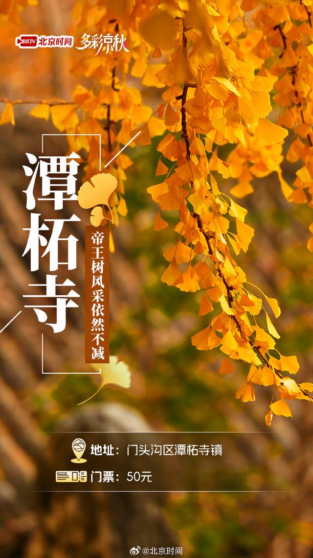 北京十大赏银杏好去处，这三处免费，您都去过吗？