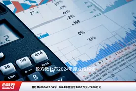 盈方微(000670.SZ)：2024年度预亏4800万元–7200万元