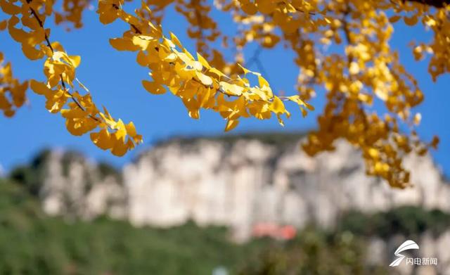 组图丨一大波美图来袭！泰山景区9个赏秋地超出片