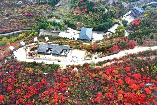 淄博私藏的“秋日调色盘”，红叶为笔山水为幕，承包你的朋友圈C位！