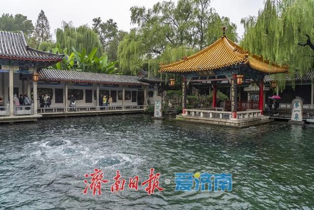 一年四季 泉在济南丨秋雨添活力，济南泉水焕发新生机