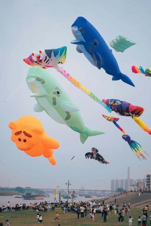 以文旅为线，串起三水“百千万”的诗与远方丨“百千万”三年蝶变