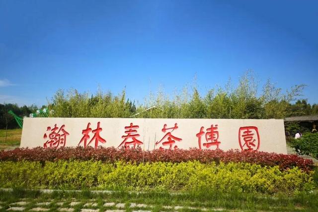 快来打卡！在日照，遇见“煤”好！