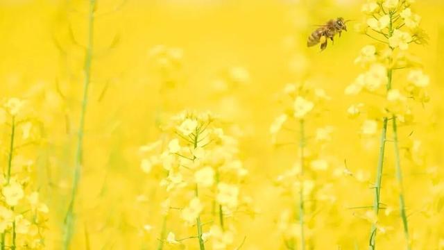 2026来江西，春夏秋冬都有趣！