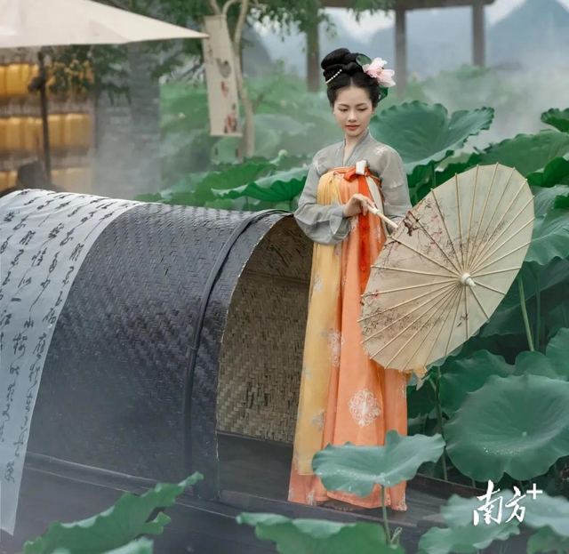 乾塘荷花文化季来啦！音乐派对、非遗鱼灯……抢先剧透
