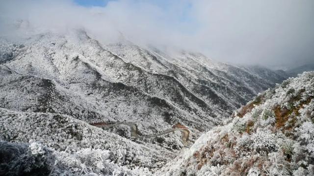 多图直击融水雾凇美景