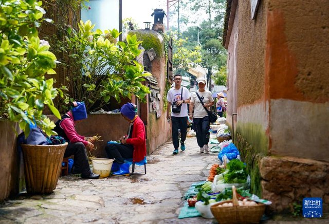 云新闻关注丨诗意旅居，云岭初冬氛围感超绝！
