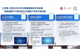 华为昇腾+DeepSeek双擎驱动，贵州全行业AI应用创新浪潮奔涌图片