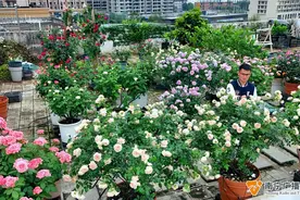 “这节课后体育老师有事！”可能是这件事……图片