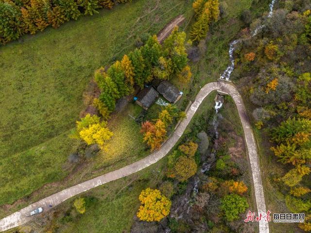 华亭关山多彩林海 解锁陇东最浓秋意