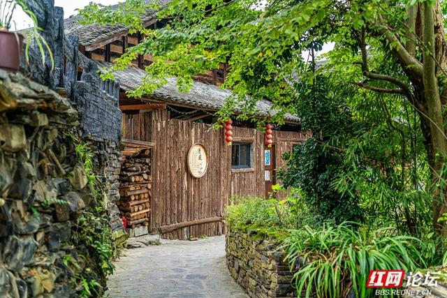 岁暖时刻｜白云深处有人家：藏在湘西山巅的原始苗寨